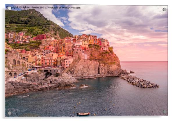 Manarola Cinque Terre evening Acrylic by Adrian Beese