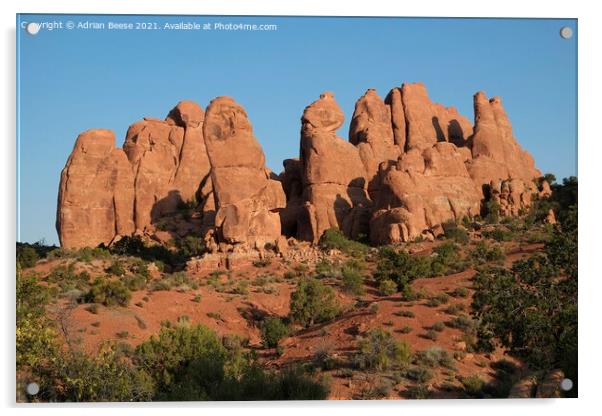 Devils Garden early morning in Arches National Park Acrylic by Adrian Beese
