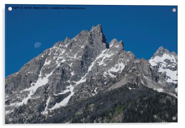 Moonrise over the Tetons Acrylic by Adrian Beese