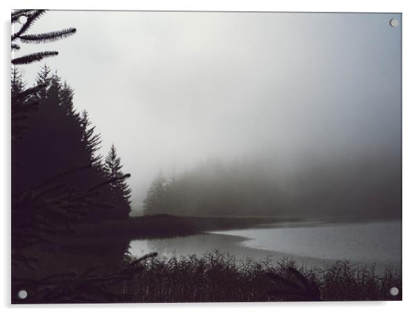  morning mist Acrylic by Brent Olson
