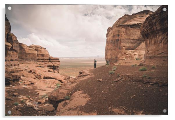 Desert Walk Acrylic by Brent Olson
