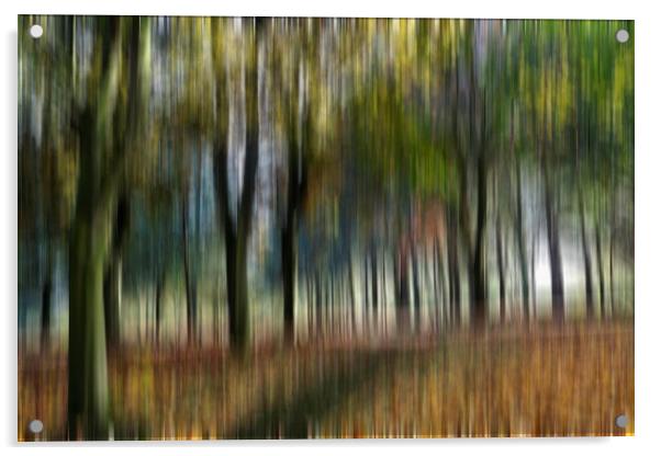 Woodland Blur Acrylic by Kevin Round
