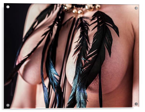 Black feather necklace Acrylic by Chris Watson