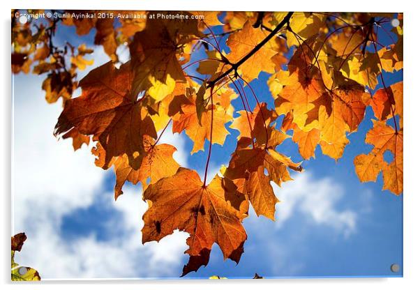  Fall Leaves Acrylic by Sunil Ayinikal