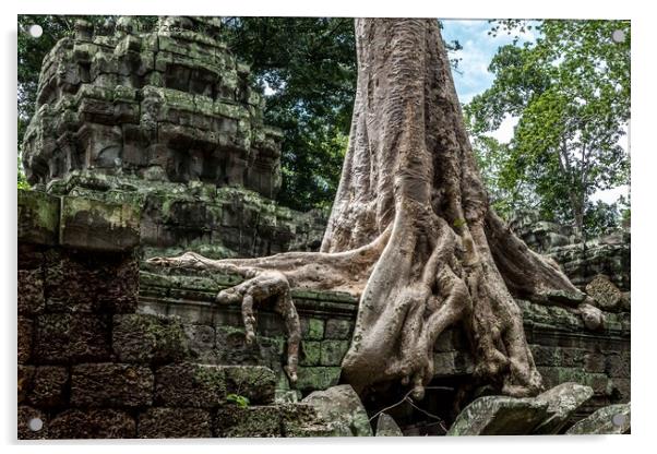 Tree detail, Ta Promh Temple Cambodia Acrylic by Jo Sowden