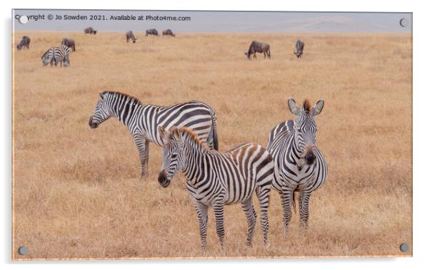 Three Zebras standing in the Serengeti Acrylic by Jo Sowden