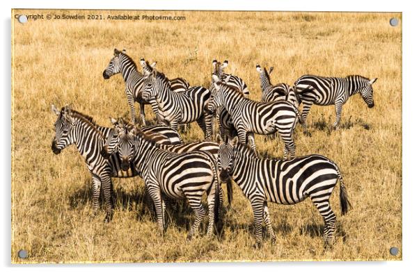Zebras in the Serengeti Acrylic by Jo Sowden