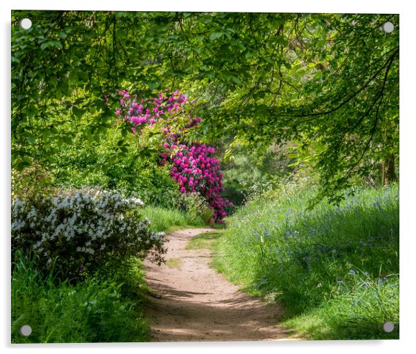 A beautiful walk in the countryside Acrylic by Jo Sowden