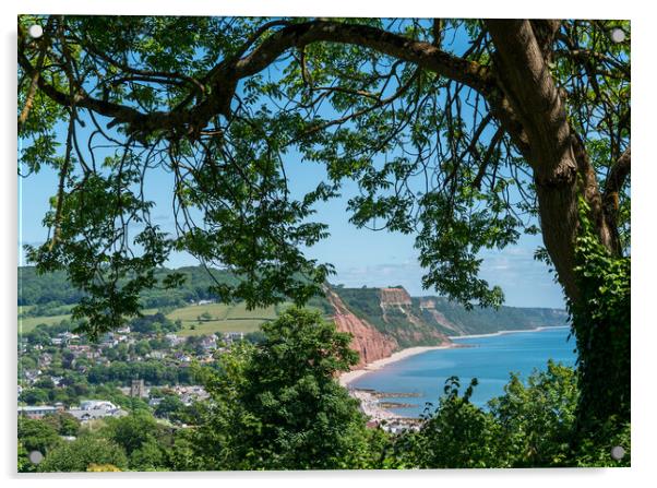 Sidmouth from peak Hill Acrylic by Jo Sowden