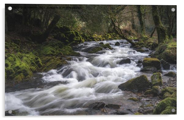 Okement Cascades, Okehampton, Dartmoor Acrylic by Jo Sowden