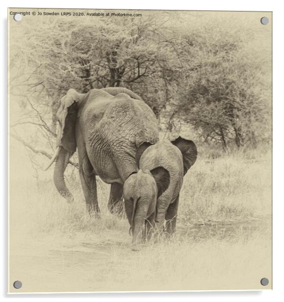 Elephant Family walking away, Serengeti  Acrylic by Jo Sowden