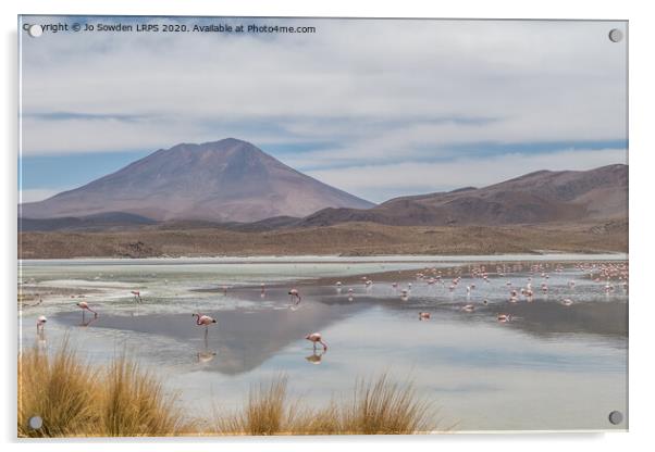 Salt Lake in the Andes, Bolivia with Flamingos  Acrylic by Jo Sowden
