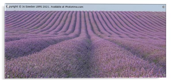 Lavender fields Acrylic by Jo Sowden