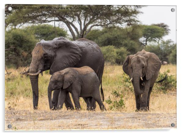 Three elephants Acrylic by Jo Sowden