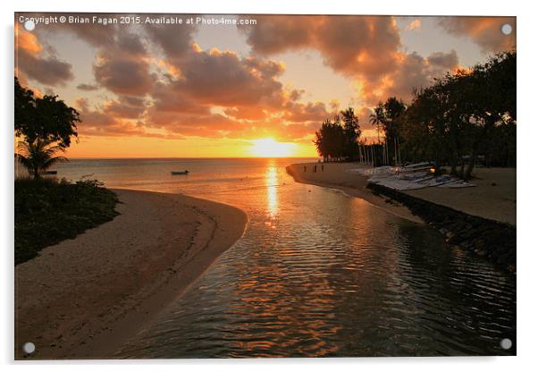  Mauritian  Sunset Acrylic by Brian Fagan