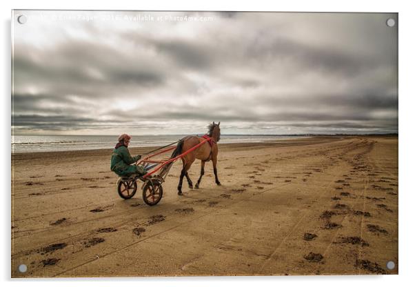 Horse and Cart Acrylic by Brian Fagan