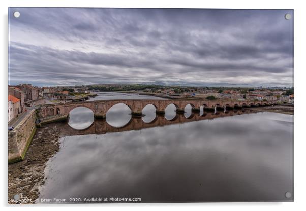 Berwick Bridge Acrylic by Brian Fagan