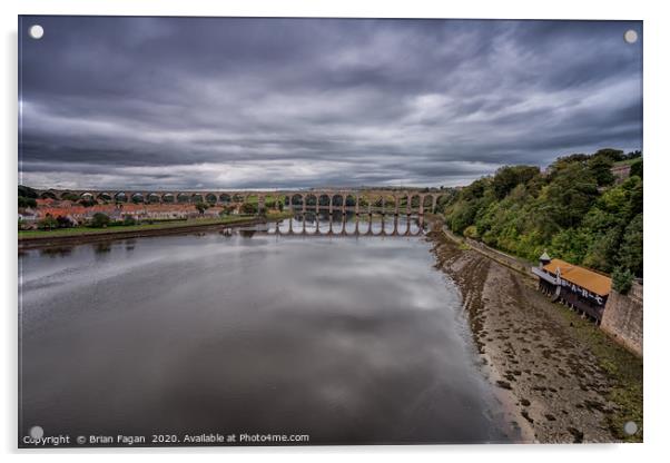 Berwick Railway Bridge Acrylic by Brian Fagan