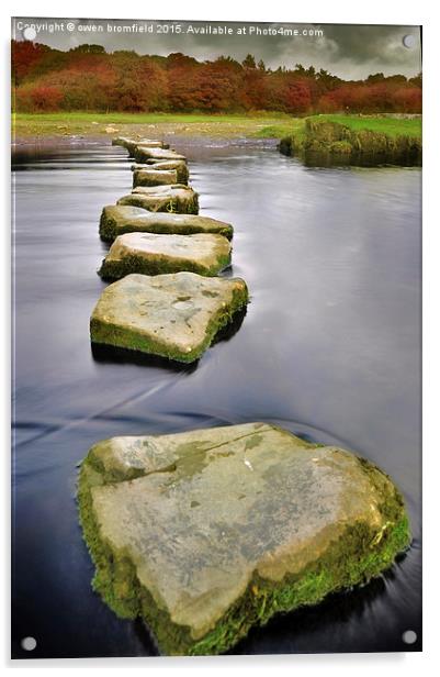  Stepping stones of life Acrylic by Owen Bromfield