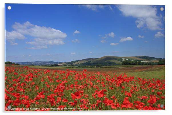 Poppy Field nr.. Lewes, Sussex Acrylic by Craig Williams
