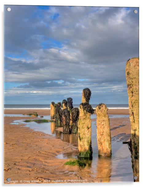 Old Groynes at Sandsend Acrylic by Craig Williams