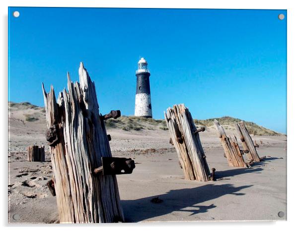 Spurn Point coast Acrylic by Dave Leason