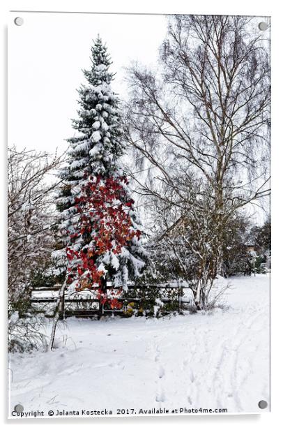 Winter wonderland Acrylic by Jolanta Kostecka