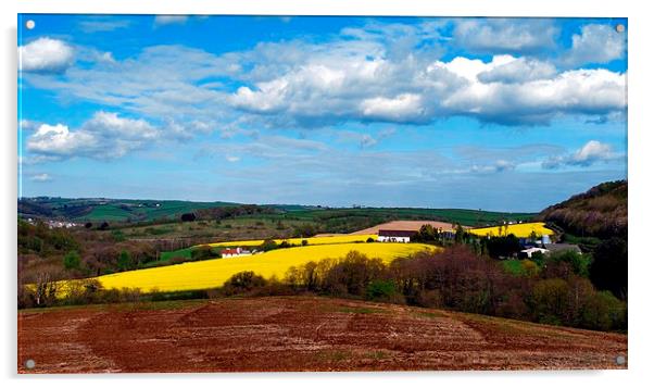  fields of yellow Acrylic by amy copp