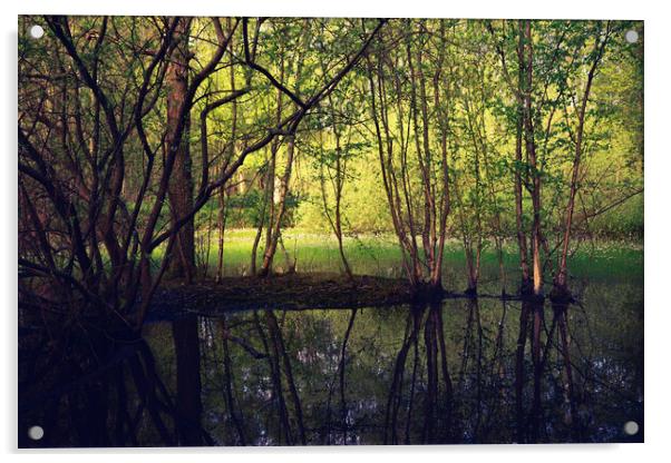 Fairy Tails Landscape Acrylic by Svetlana Sewell