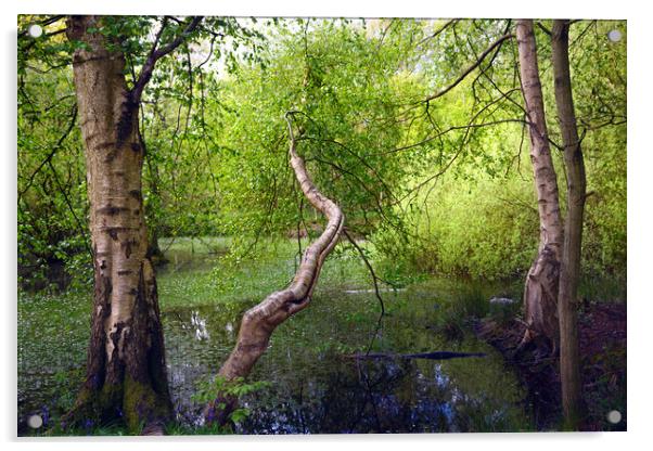 Fairy Tails Landscape Acrylic by Svetlana Sewell