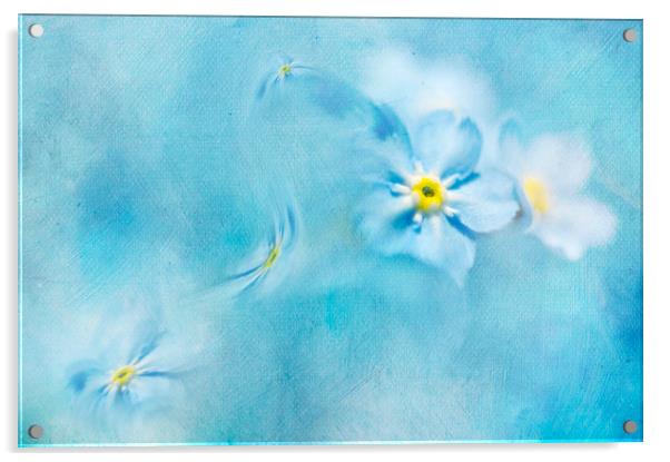  Splash of blue Acrylic by Svetlana Sewell