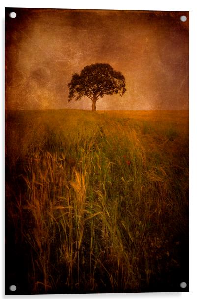  Lonely Tree Acrylic by Svetlana Sewell