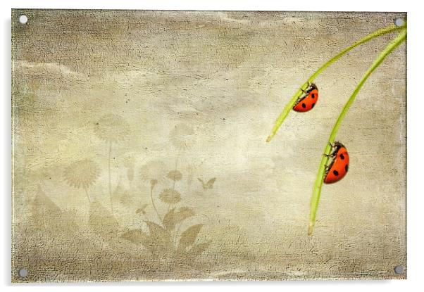  Ladybirds Acrylic by Svetlana Sewell