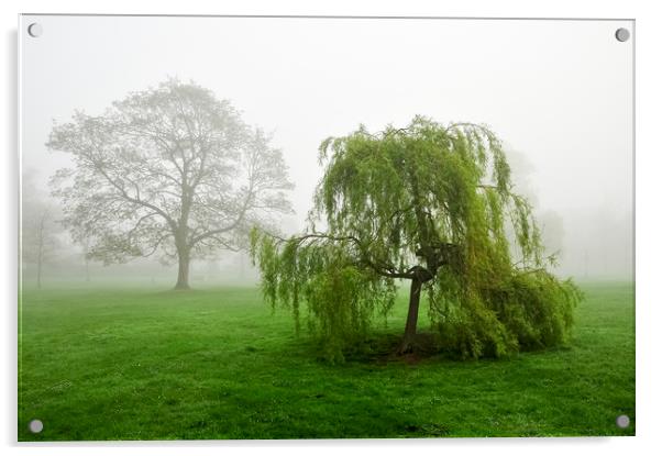  Foggy Morning Acrylic by Svetlana Sewell