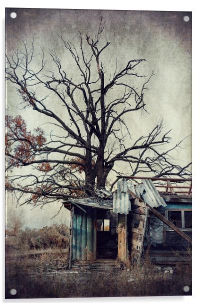  Abandoned house Acrylic by Svetlana Sewell