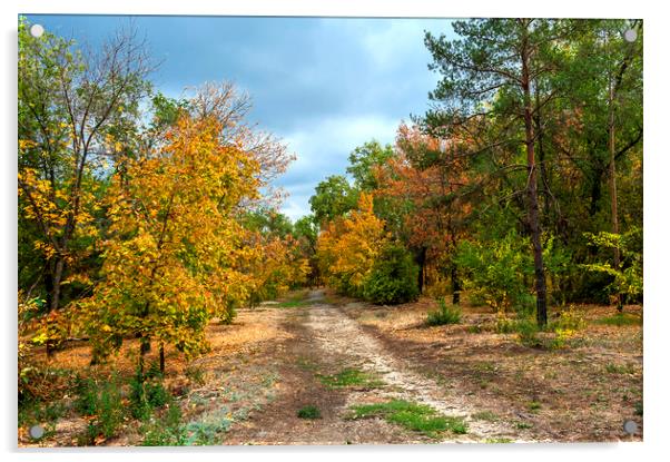  Woodland Path Acrylic by Svetlana Sewell