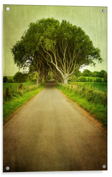  Country Road Acrylic by Svetlana Sewell