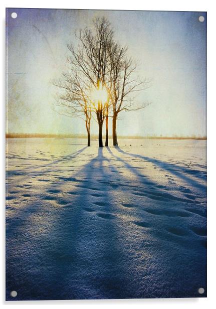 Winter Sun Acrylic by Svetlana Sewell