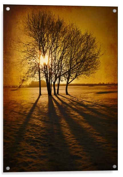  Winter Morning Acrylic by Svetlana Sewell