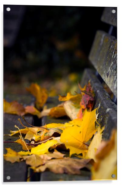  Autumn Leaves Acrylic by Svetlana Sewell