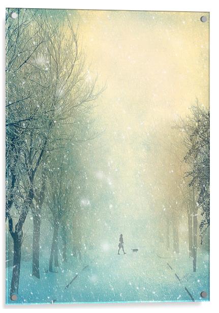 Winter Stroll Acrylic by Svetlana Sewell