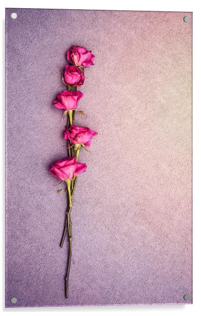 Love Roses Acrylic by Svetlana Sewell