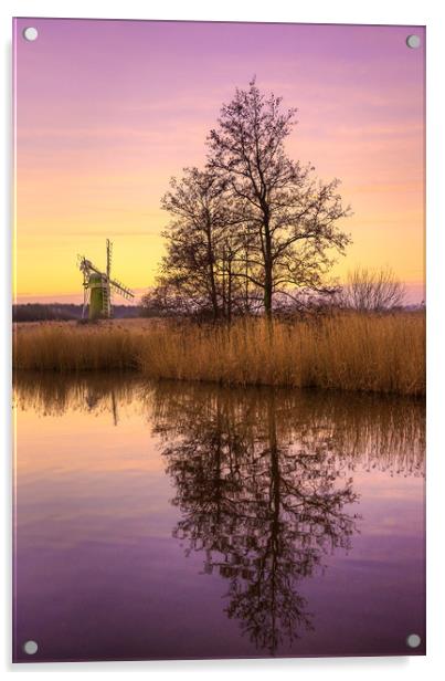Turf Fen Mill at Sunrise Acrylic by Svetlana Sewell