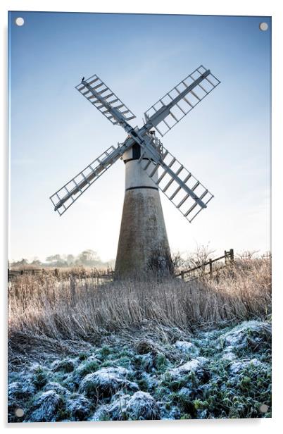 Windmill  Acrylic by Svetlana Sewell