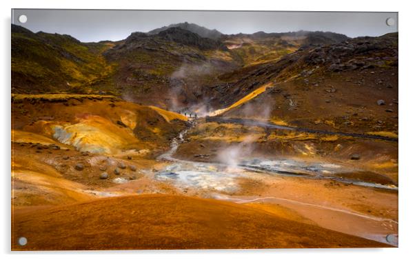 Geothermal Area Acrylic by Svetlana Sewell