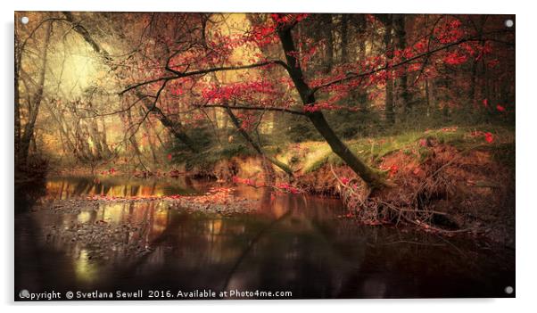 Dreamy Autumn Forest Acrylic by Svetlana Sewell