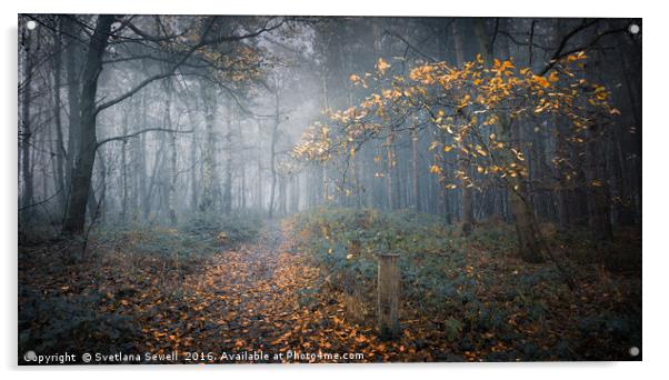 Last Autumn Tree Acrylic by Svetlana Sewell