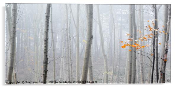 Last Autumn Branch Acrylic by Svetlana Sewell