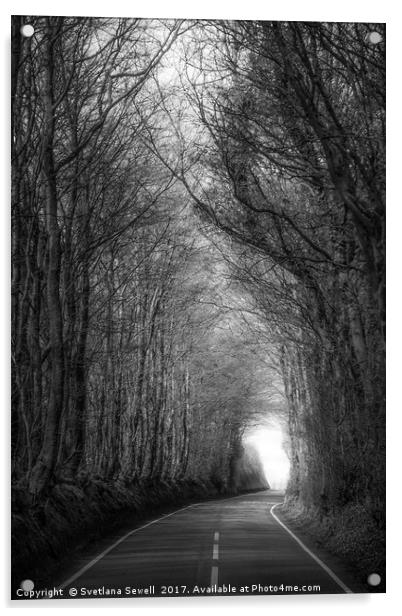 Shadow of Trees Acrylic by Svetlana Sewell