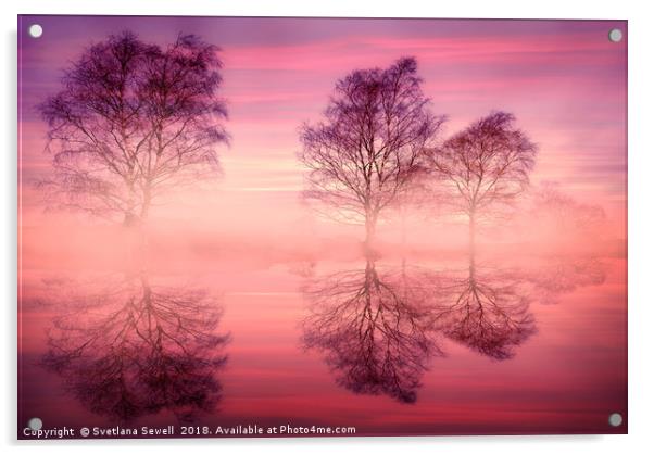 Pink Fog Acrylic by Svetlana Sewell